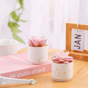ZENIDA Artificial Succulent Plants in White Pots – Small Fake Décor for Home & Office