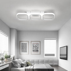 Modern living room with a ceiling light fixture, gray sofa, and framed artwork on the wall.