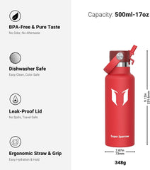 Insulated Stainless Steel Water Bottle – Leakproof FlipFlow Flask with Straw Lid