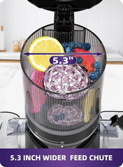Slow Masticating Juicer 300W 5.3