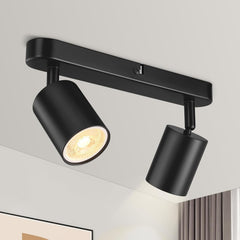 Black ceiling light fixture with two spotlights on a neutral background