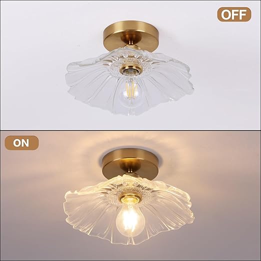 Modern Flush Mount Ceiling Light Fixture - E27 Clear Glass Shade 240V