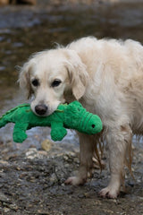 Planet Carlos the Crocodile Eco-Friendly Plush Dog Toy Made from Recycled Bottles