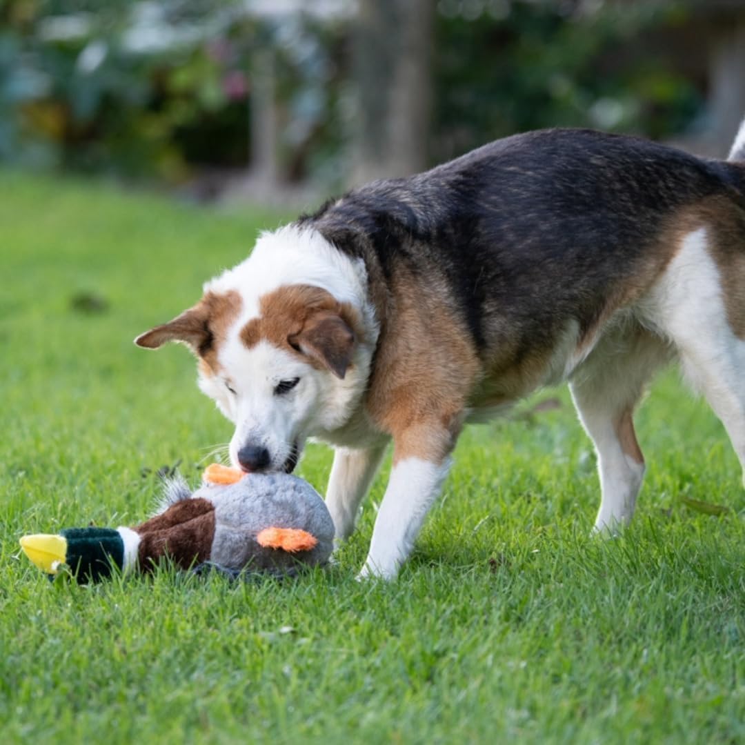 Honking & Squeaky Duck Plush Dog Toy – Soft Interactive Chew Toy for Dogs