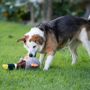 Honking & Squeaky Duck Plush Dog Toy – Soft Interactive Chew Toy for Dogs