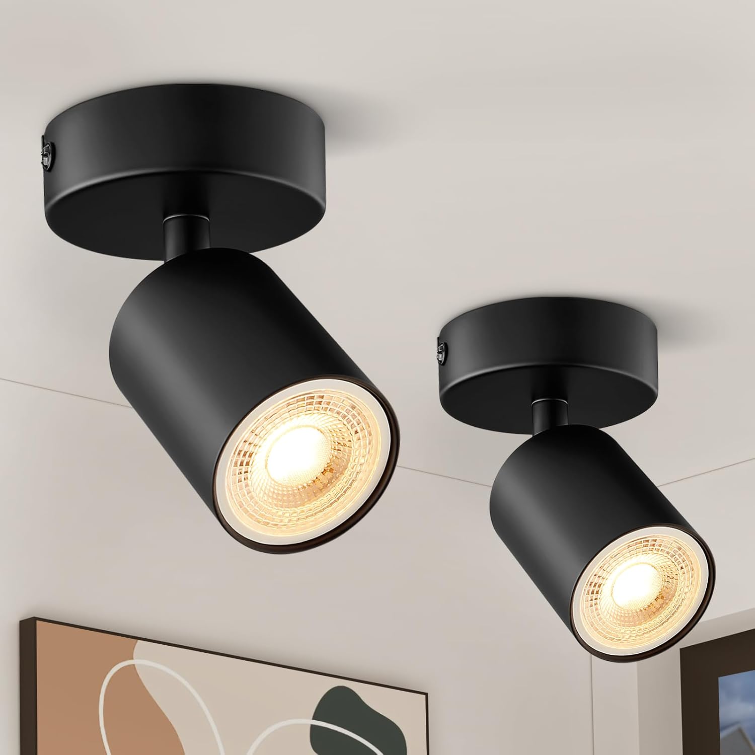 Two black ceiling lights on a white ceiling with a neutral wall and framed picture in the background.