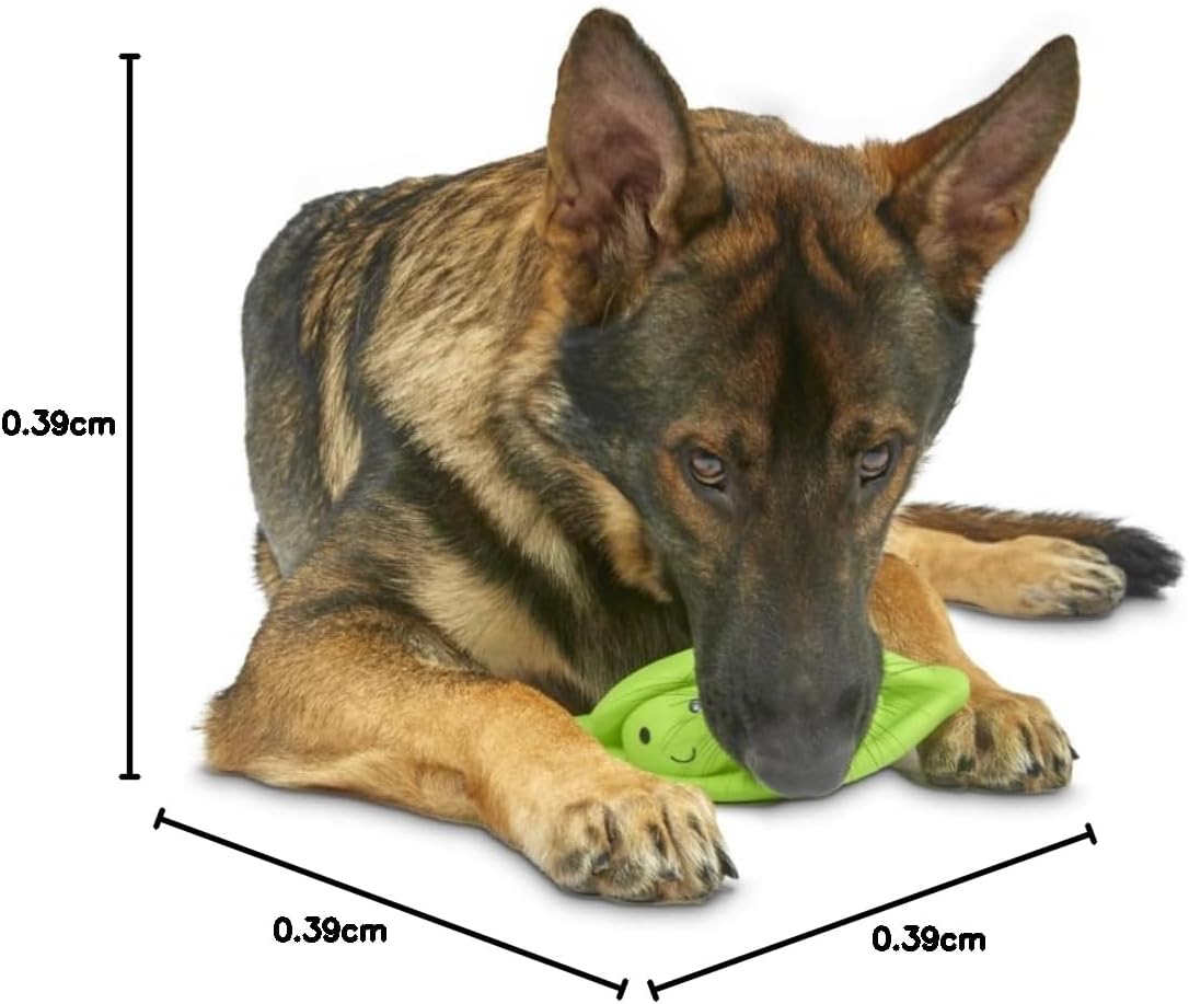 Latex Pea Pod Dog Toy – Soft, Durable Chew Toy for Large Dogs