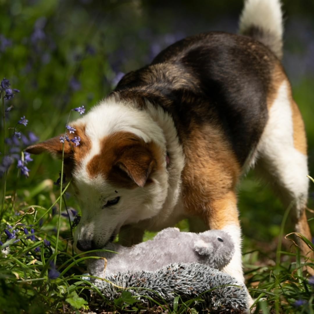 Cyril the Squirrel Plush Dog Toy – Soft, Durable & Fun with Built-In Squeaker