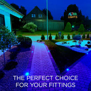 GU10 LED Bulbs Blue Color 5W – Decorative Lighting, Pack of 4