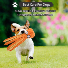 Squeaky Octopus Dog Toy, No-Stuffing Crinkle Chew Toy for Medium & Large Dogs