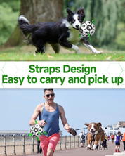 Interactive 6-Inch Dog Football Toy with Webbing, Durable Indoor & Outdoor Ball