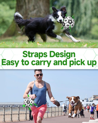 Interactive 6-Inch Dog Football Toy with Webbing, Durable Indoor & Outdoor Ball