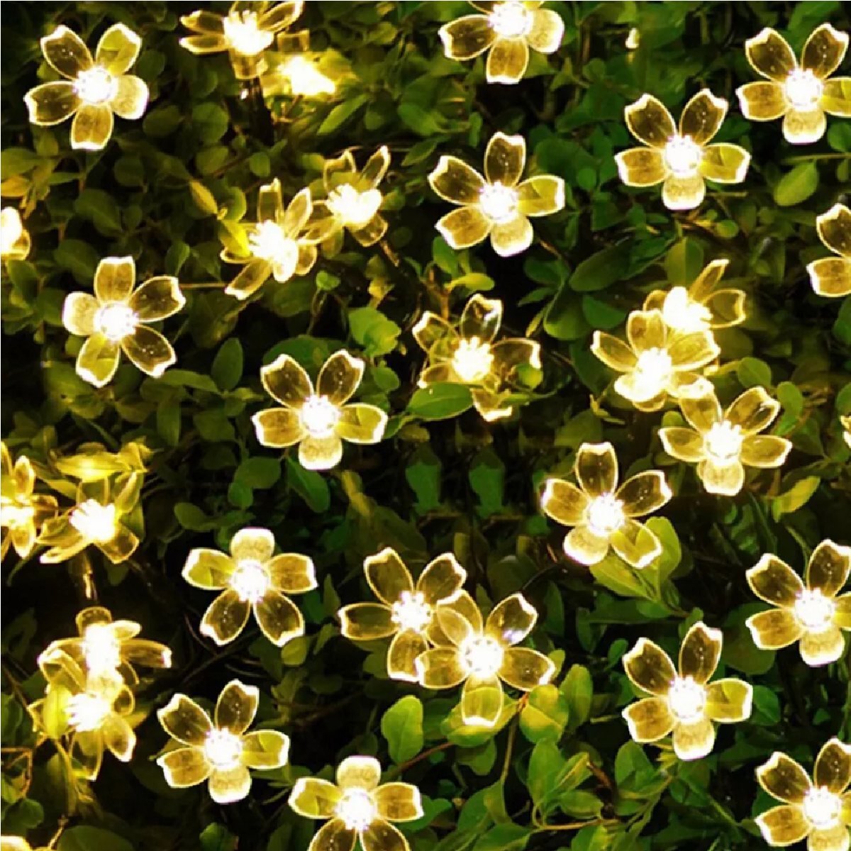 Flower Solar String Lights