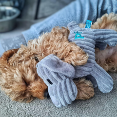 Freddi Cord Plush Puppy Dog Toy – Soft, Durable & Squeaky Cuddle Toy for Pets