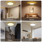24W Round LED Ceiling Light – Multi-Color Adjustable Bathroom Ceiling Lights for Bathroom, Kitchen, Lounge and Hallway