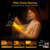 Rechargeable 19 LED Book Light with Flexible Neck
