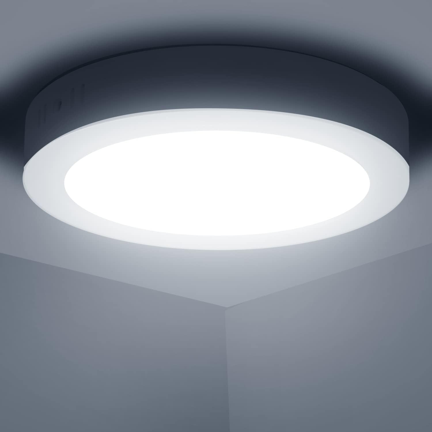 6_7fb709f9-6f0c-4e95-8091-efcba3ae860e.jpg