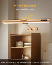 Picture Wall Lights with Remote