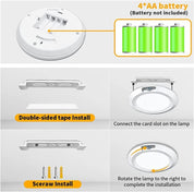 Motion Sensor Ceiling Light for Shed