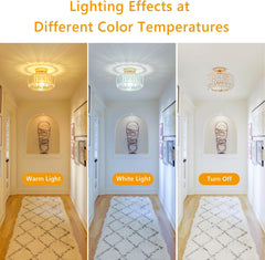 Modern Crystal Ceiling Light with Glass Lampshade Chrome