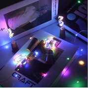 Multi-Color Bottle fairy lights