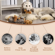 Hidden Squirrel Plush Dog Toy, Interactive Squeaky Hide and Seek Puzzle Toy