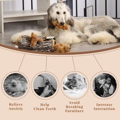 Hidden Squirrel Plush Dog Toy, Interactive Squeaky Hide and Seek Puzzle Toy