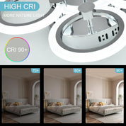 Modern 4-Ring LED Ceiling Light, Chrome, 6500K Daylight