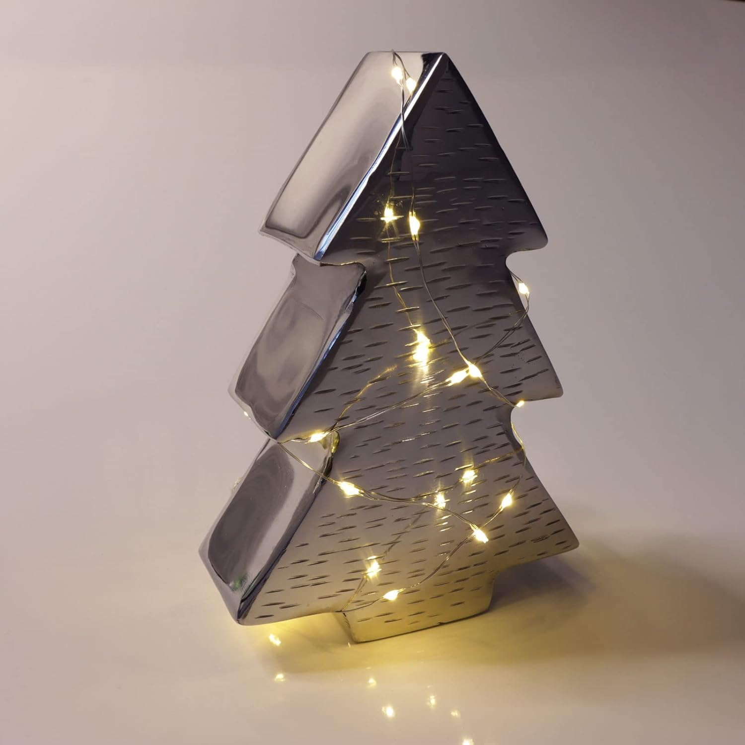 LED Outdoor Fairy lights