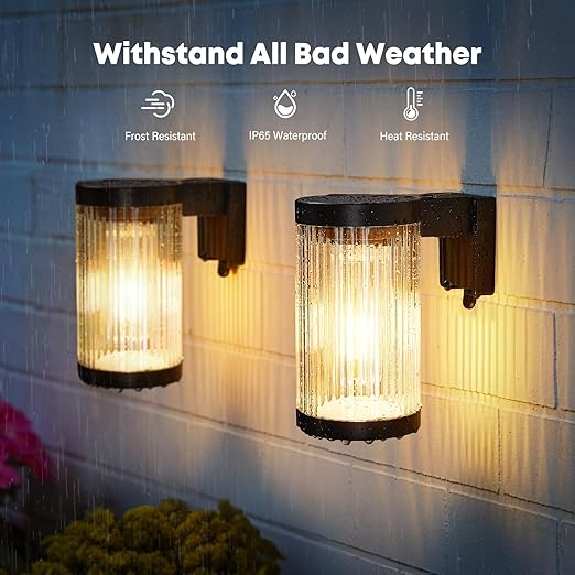 Solar Fence Lights 2-Pack