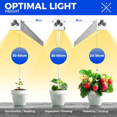 Diagram showing optimal light heights for different stages of plant growth with labeled plants.