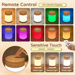 Dimmable 8-Brightness Touch Lamp, 10-Color Rechargeable Kids Night Light, Remote & Touch Control, Timer LED Warm Small Lamp