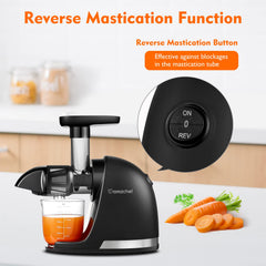AMZCHEF Juicer Machines - Cold Press Slow Juicer - Masticating Juicer for Whole Fruits and Vegetables - Delicate Chew No Need to Filter - BPA Free Juice Extractor with 2 Cups and Brush - Black