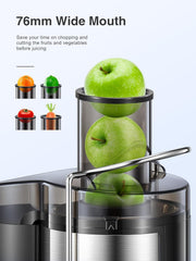 Reemix Centrifugal Juicer 800W 3