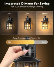 Outdoor Wall Lantern with Motion Sensor, Dusk-to-Dawn Black