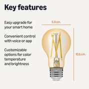 Amazon Basics A60 Smart Filament LED Bulb, Tunable White, 2.4 GHz Wi-Fi, Works with Alexa Only, 1-Pack [Energy Class E]