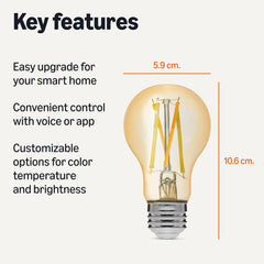 Amazon Basics A60 Smart Filament LED Bulb, Tunable White, 2.4 GHz Wi-Fi, Works with Alexa Only, 1-Pack [Energy Class E]