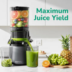 Cold Press Juicer Machine 350W Masticating Juicer Large Feeding Chute