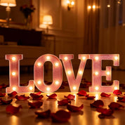 Light Up Letter D LED Pink Night Light