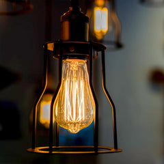 E27 Vintage Light Bulbs Squirrel Cage Filament 60W (6 Pack)