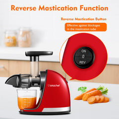 AMZCHEF Juicer Machines - Cold Press Slow Juicer - Masticating Juicer for Whole Fruits and Vegetables - Delicate Chew No Need to Filter - BPA Free Juice Extractor with 2 Cups and Brush - Black