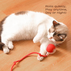 Interactive Rolling Ball for Dogs & Cats – Automatic Smart Pet Toy, Anxiety Relief