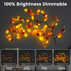 Rose LED Vine Wall Lights with Remote and Timer, 48 LED Fairy Branch Lights for Bedroom Wall Art and Indoor Décor