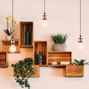 Wooden crates with plants and bottles on a wall with hanging lights.