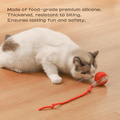 Interactive Rolling Ball for Dogs & Cats – Automatic Smart Pet Toy, Anxiety Relief