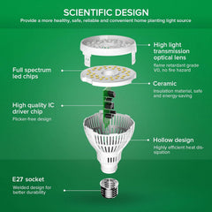 Diagram of a LED light bulb with labeled components on a green background
