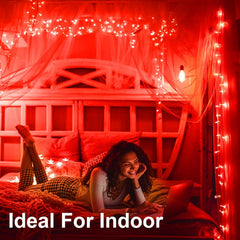 Battery Operated Waterproof Fairy String Lights with Timer, 3M 30 LED Decorative Lights for Indoor and Outdoor Use