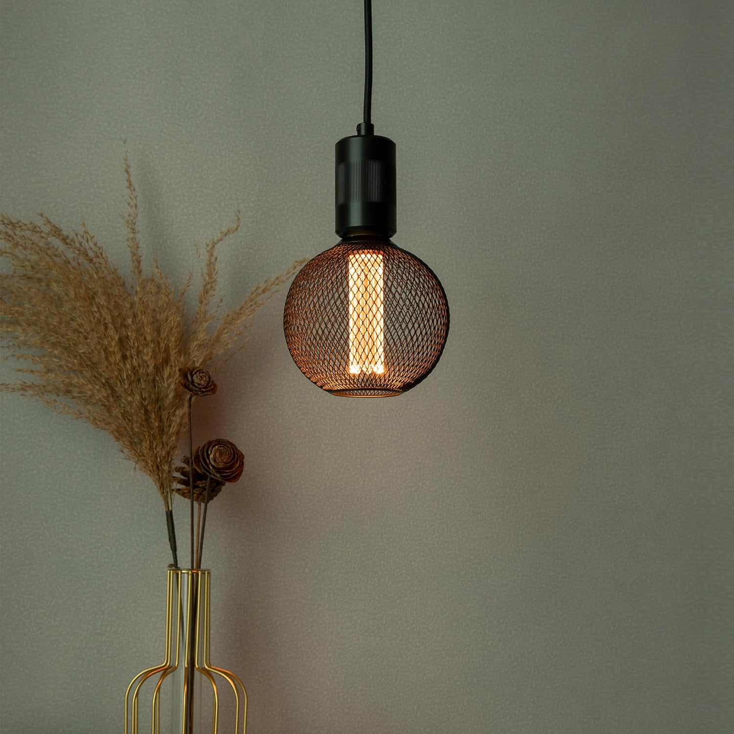LED E27 Dimmable Globe Bulb with Black Metal Cage 3.5W