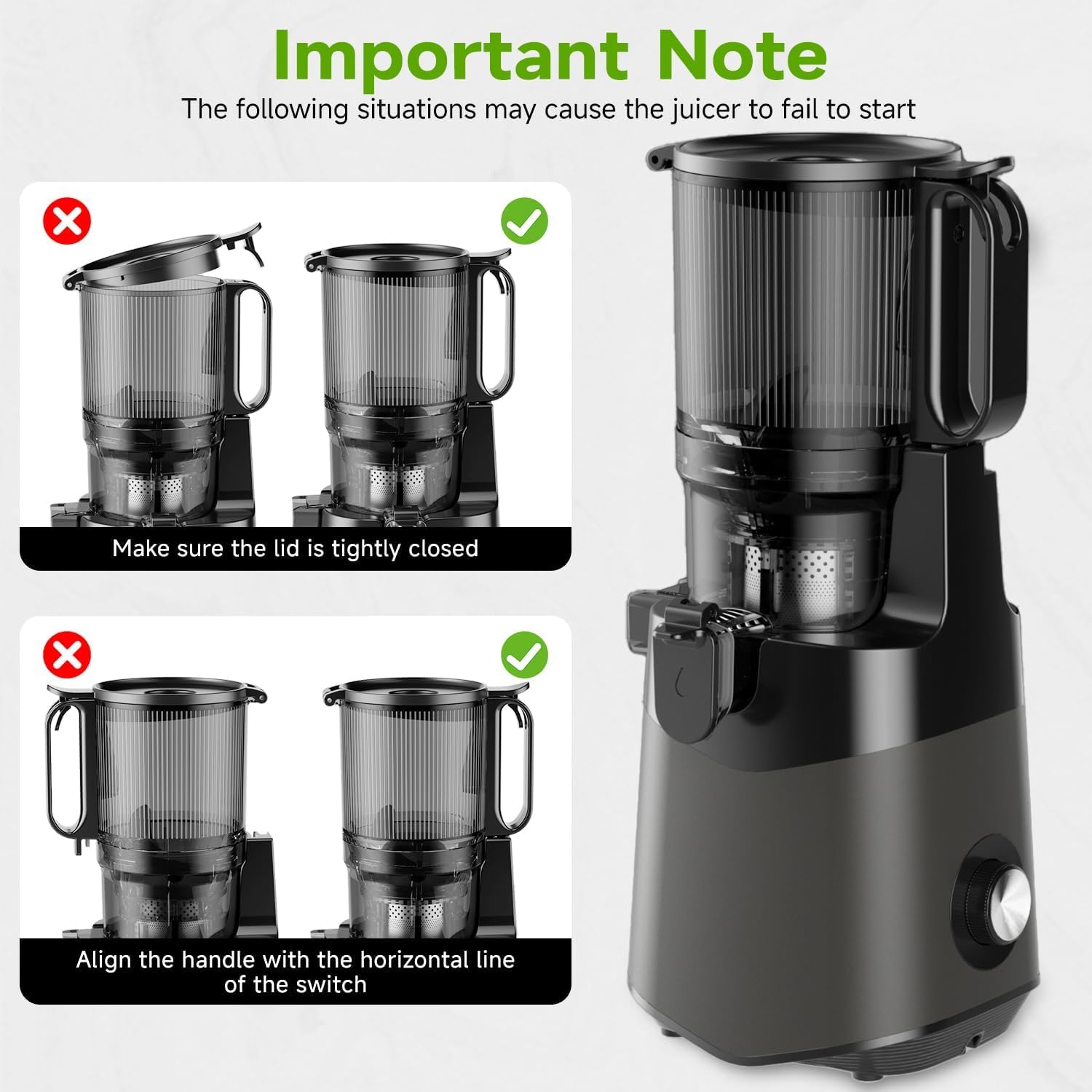 350W Cold Press Juicer Machine with Large 135mm Feed Chute for Fruits