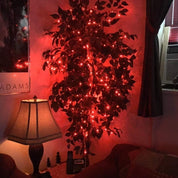 Battery Powered LED Fairy Lights